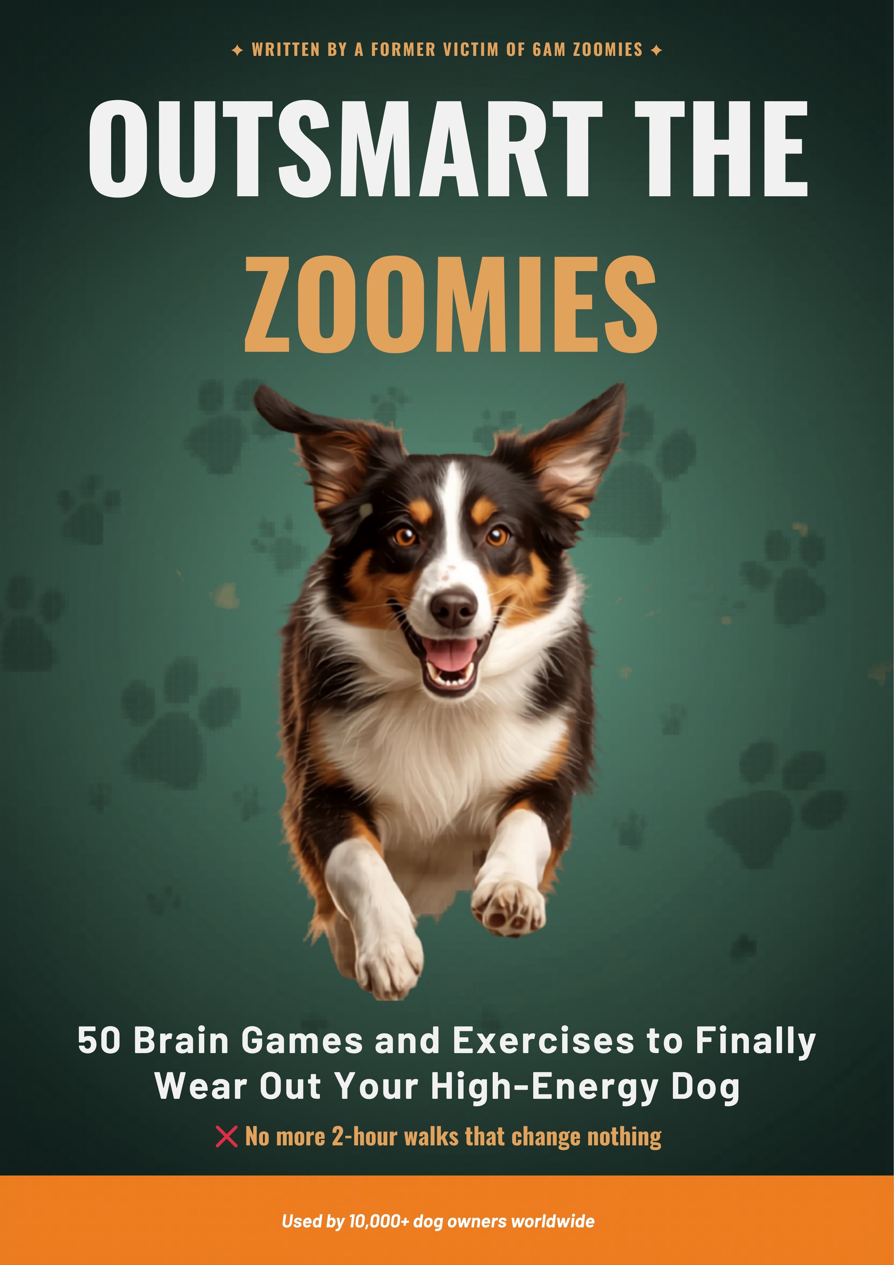 Outsmart The Zoomies