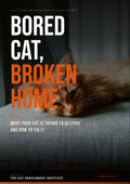 Bored Cat, Broken Home