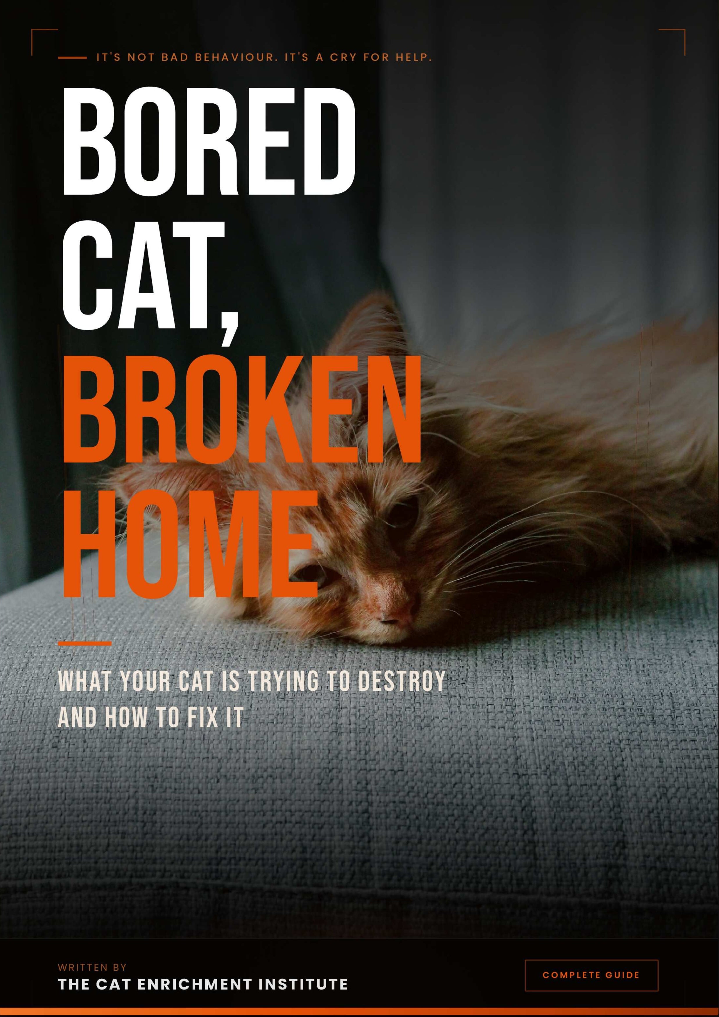 Bored Cat, Broken Home